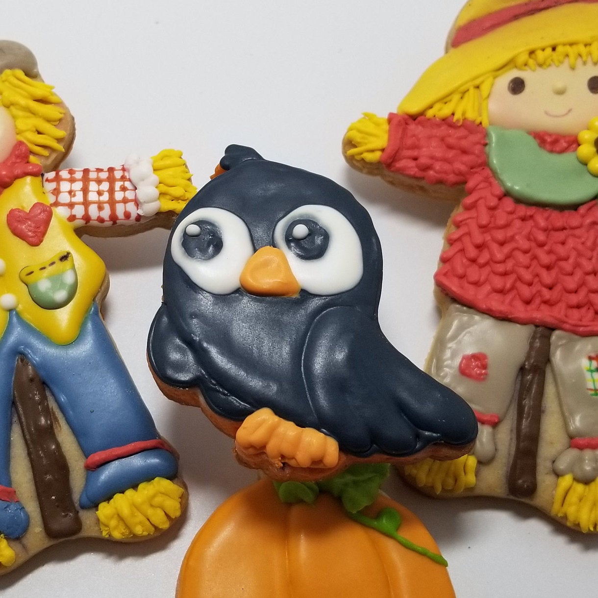 Black Bird Cookie Cutter