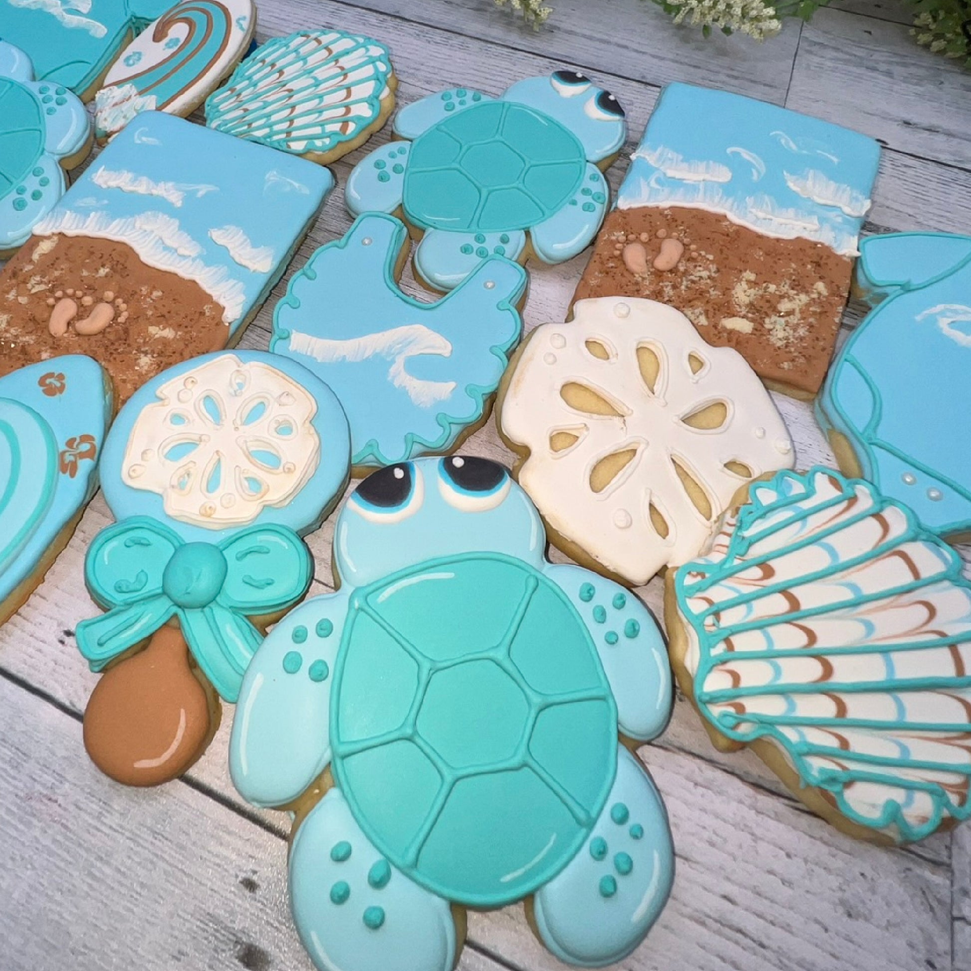 sea turtle cookie cutter