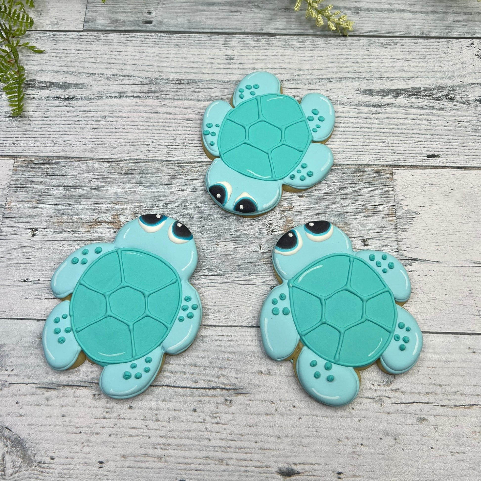 sea turtle cookie cutter