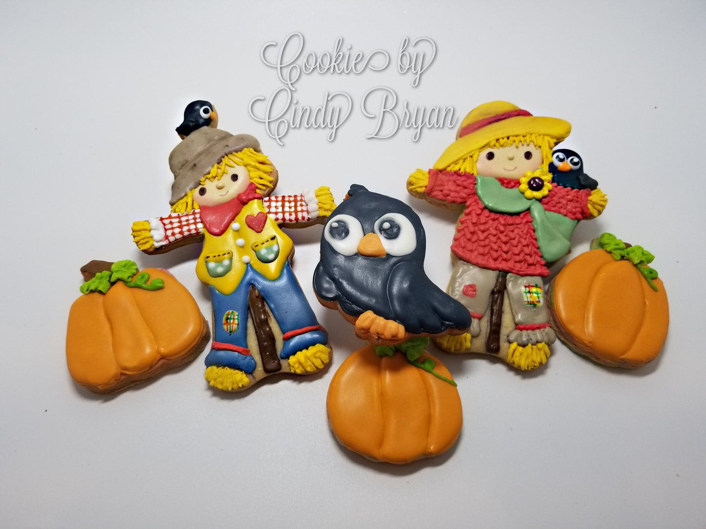 Black Bird Cookie Cutter